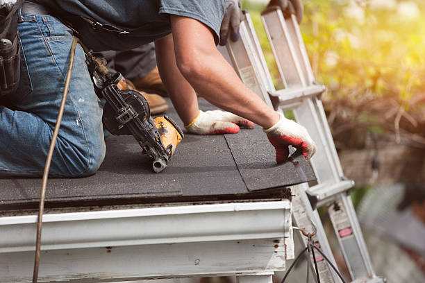 Roof Gutter Cleaning in Questa, NM